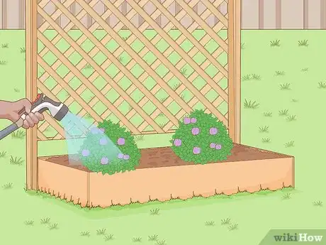 Image titled Build a Living Fence Step 9