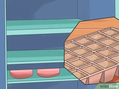 Image titled Grow Asters Step 4