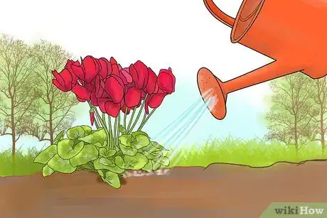 Image titled Care for Cyclamen Plants Step 13