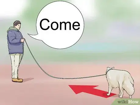 Image titled Get Your Dog to Follow You Step 6