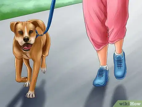 Image titled Keep Your Dog and Other Dogs Safe at the Vet Step 3