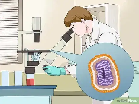 Image titled Diagnose Viral Hepatitis Step 7