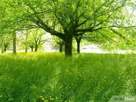 Image titled Nature Walk Step 4