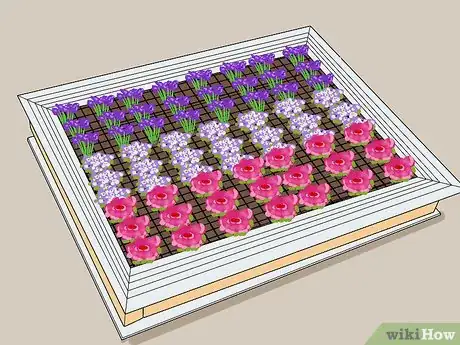 Image titled Plant a Living Picture with Plants Step 12