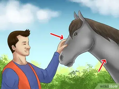 Image titled Catch a Horse Step 6