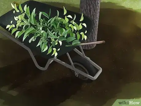 Image titled Prune a Cherry Tree Step 14