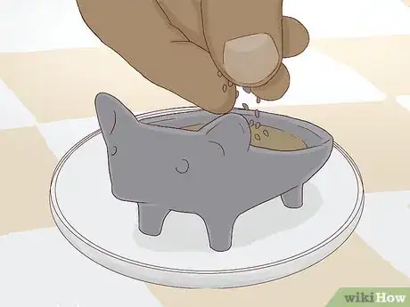 Image titled Grow a Chia Pet Step 6