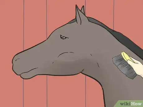Image titled Care for an Arabian Horse Step 10