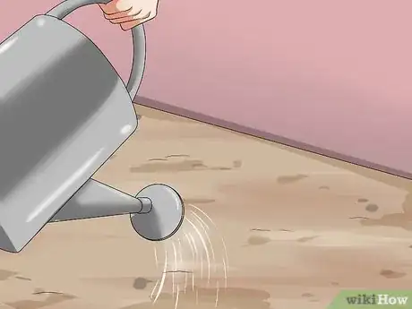 Image titled Grow Four O' Clock Flowers Step 7