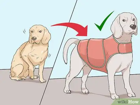 Image titled Dress Your Dog Step 10