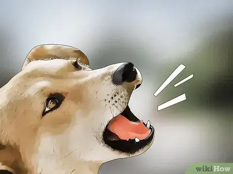 Image titled Protect Pets from Lead Poisoning Step 9