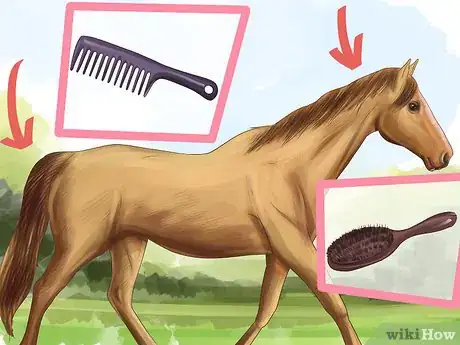 Image titled Assemble a Horse Grooming Kit Step 10