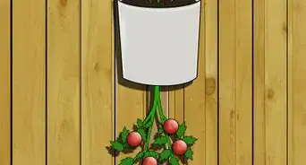 Make an Upside Down Tomato Planter