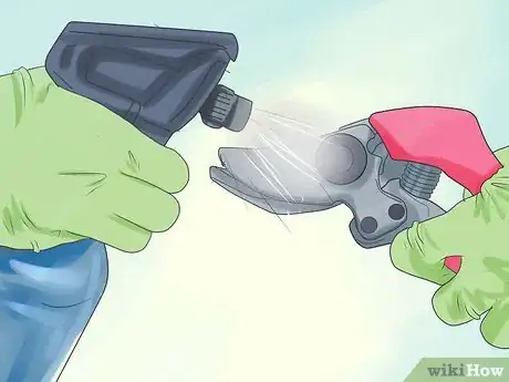 Image titled Prune Drift Roses Step 10