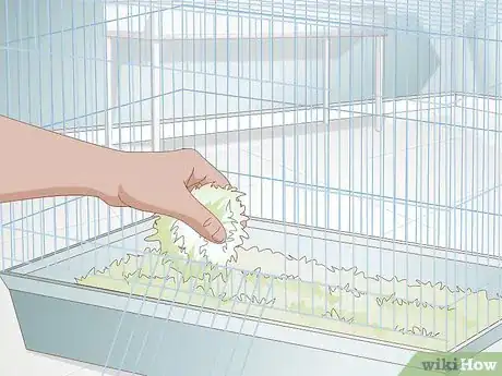 Image titled Select a Hamster Cage Step 9