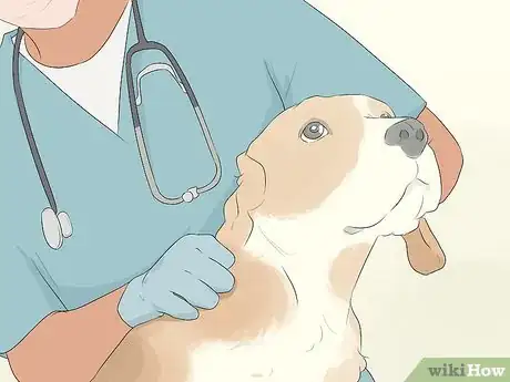 Image titled Care for Animals During the Coronavirus Outbreak Step 5