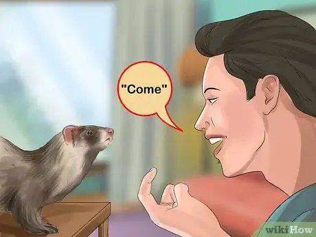Image titled Train a Ferret Step 17