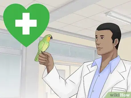 Image titled Keep a Conure Groomed Step 8