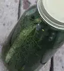 Make Crispy Dill Pickles