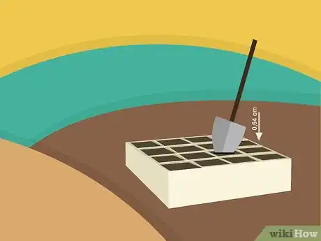 Image titled Grow Cumin Step 05