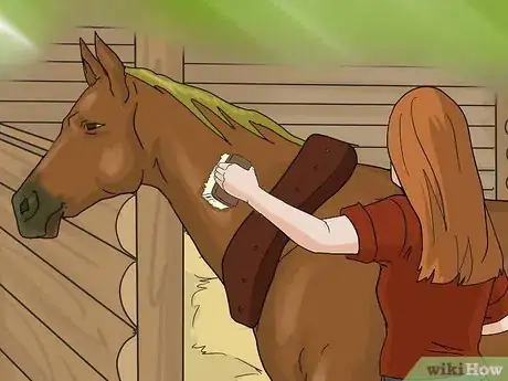 Image titled Take a Horse's Vital Signs Step 1
