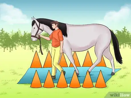 Image titled Train a Horse to Walk Through Water Step 6