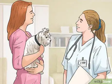 Image titled Choose a Shampoo for a Yorkshire Terrier Step 1