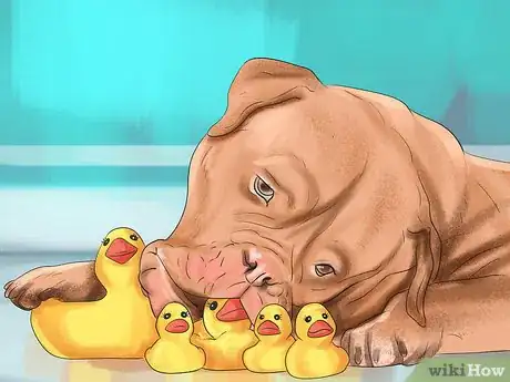 Image titled Show Affection to an Older Dog Step 9