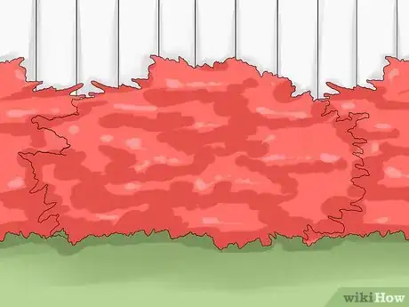 Image titled Prune Burning Bush Step 1