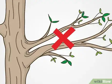 Image titled Trim Trees Step 13