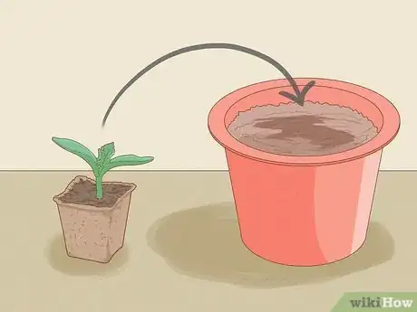 Image titled Grow Bottle Gourds Step 9