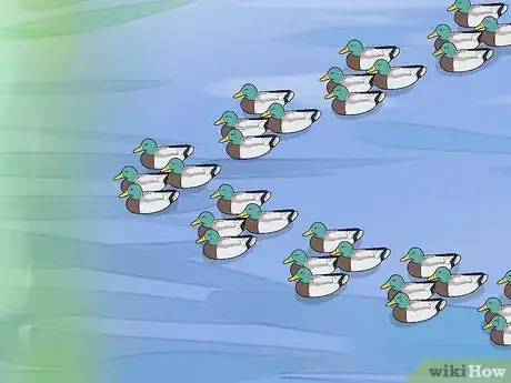 Image titled Set Duck Decoys Step 9