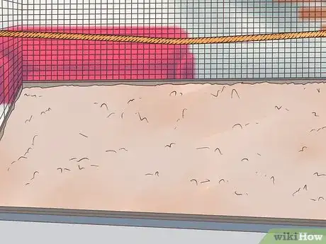 Image titled Exercise Pet Mice Step 10