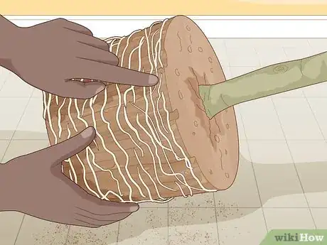 Image titled Plant a Pear Tree Step 7