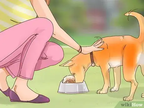 Image titled Survive the Holidays with Your Dog Step 6