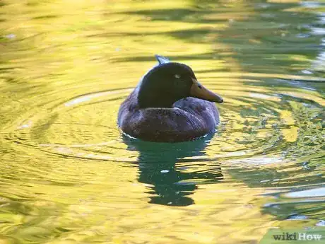 Image titled Nature Walk Step 6