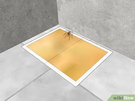 Image titled Keep Brown Recluse Spiders Out of Your House Step 11