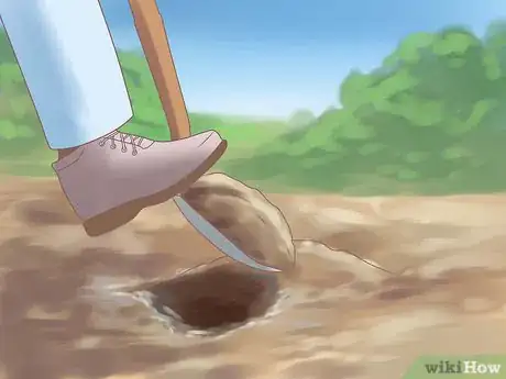 Image titled Grow Ferns Step 13