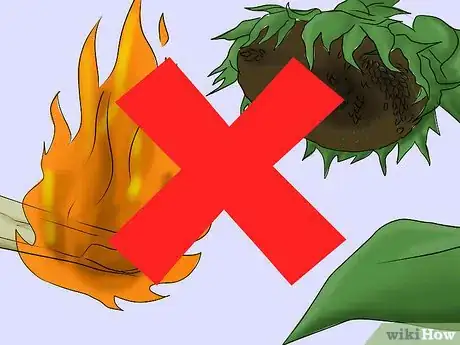 Image titled Get Rid of Sunflowers Step 7