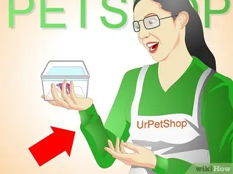 Image titled Breed Wild Bettas Step 1