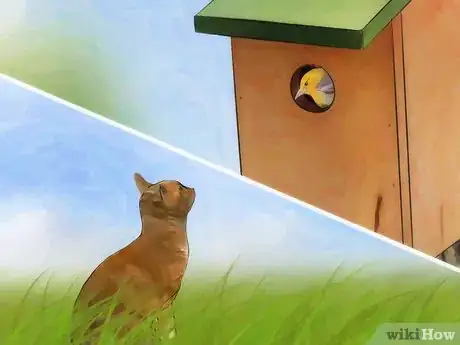Image titled Attract Birds Step 13