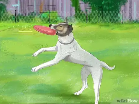 Image titled Choose a Dog Fence for Your Yard Step 17