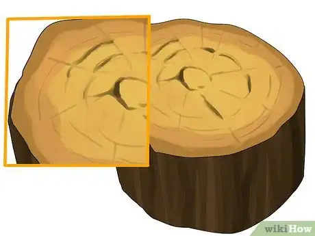 Image titled Split Gnarly Firewood Step 4