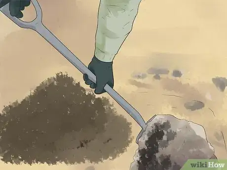 Image titled Grow Chickpeas Step 6