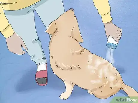 Image titled Prevent Flea Bites Step 22
