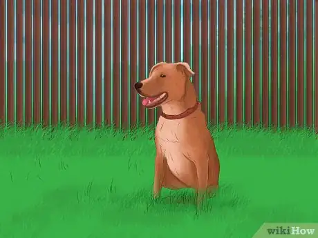 Image titled Make Your Home Safe for Your Dog Step 10