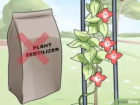 Image titled Grow Morning Glories Step 13