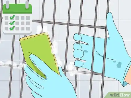 Image titled Prepare a Hamster Cage Step 12