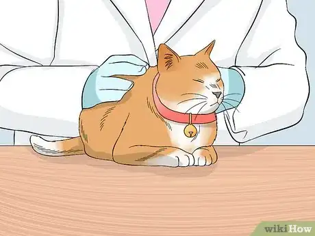 Image titled Keep a Cat Safe Step 4