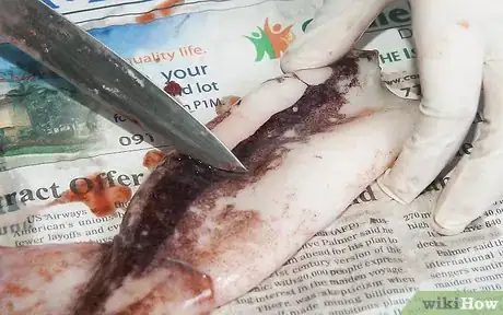 Image titled Clean and Prepare a Squid to Make Calamari Step 6